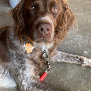 Meet your Posher, Meg